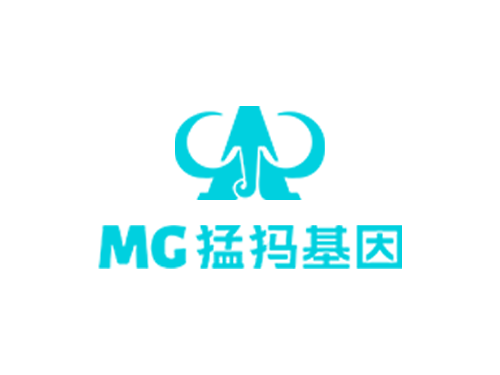 猛犸基因響應式網站